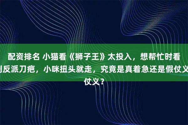 配资排名 小猫看《狮子王》太投入，想帮忙时看到反派刀疤，小咪扭头就走，究竟是真着急还是假仗义？